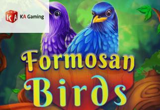 Formosan Birds